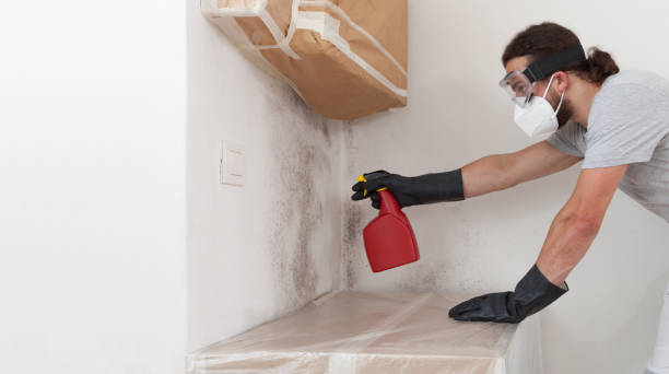 Professional Basement Mold Remediation technician working in Copiague, NY