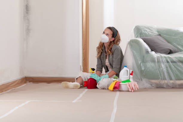 Reliable Basement Mold Remediation contractor in Copiague, NY by WQB Mold Removal